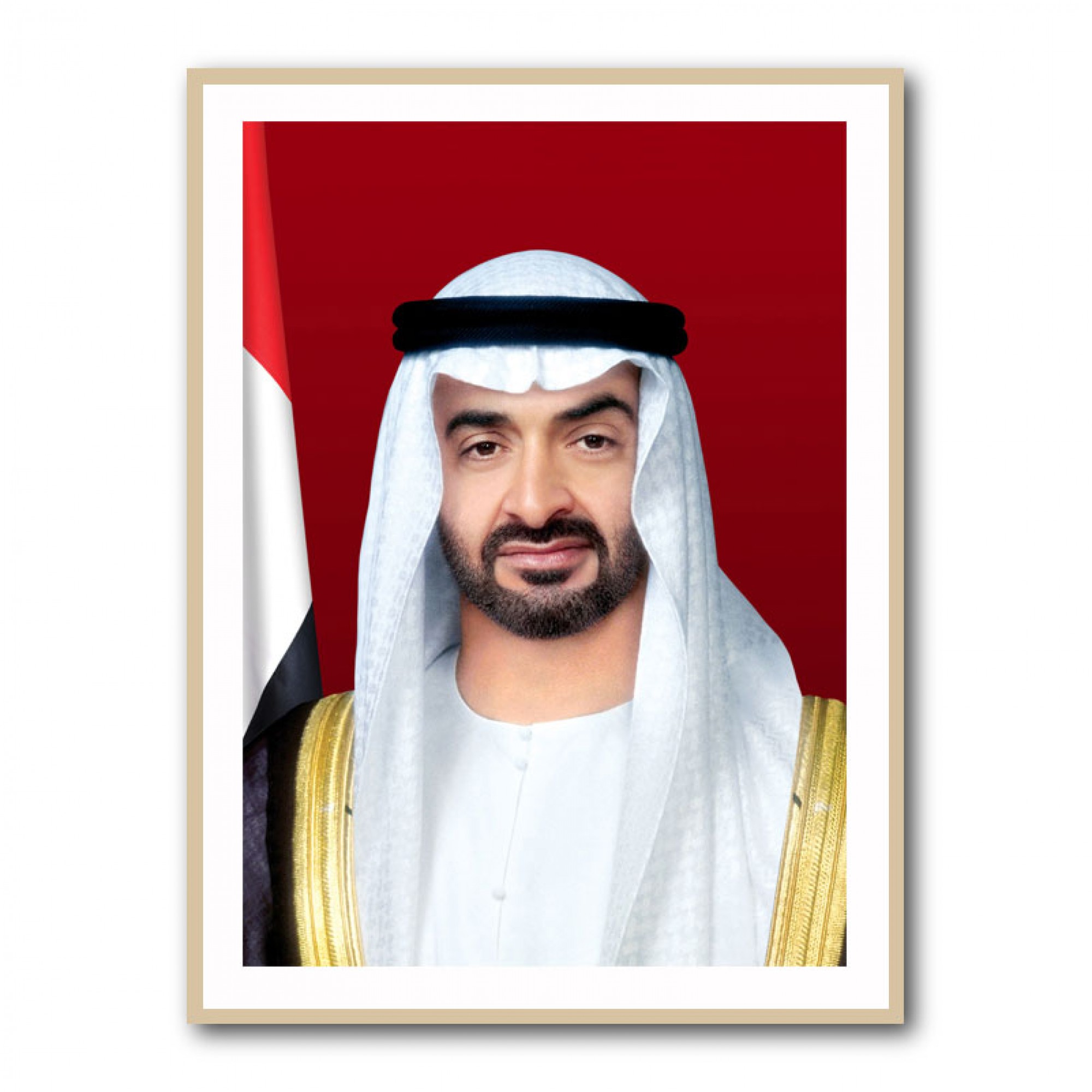 Sheikh Mohammed bin Zayed Al Nahyan Portrait